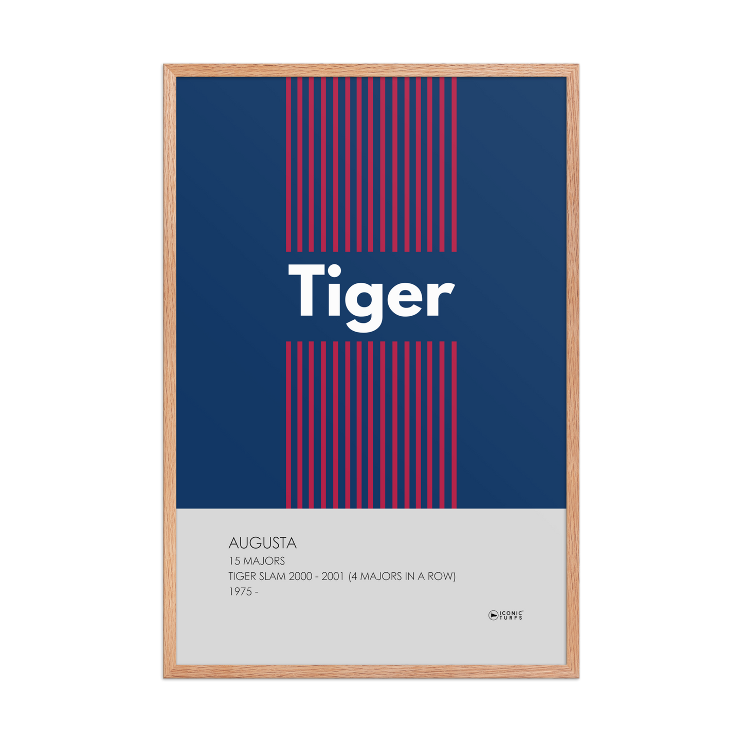 Tiger Color Lines