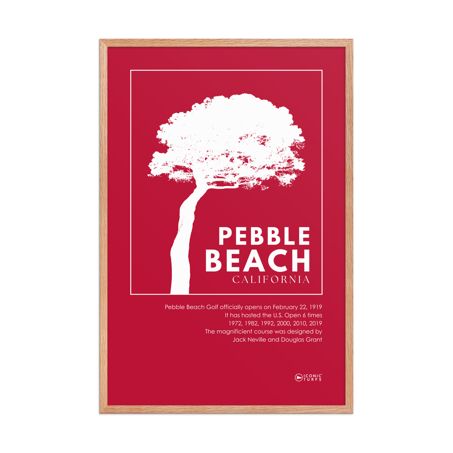 Pebble Beach Pine Tree