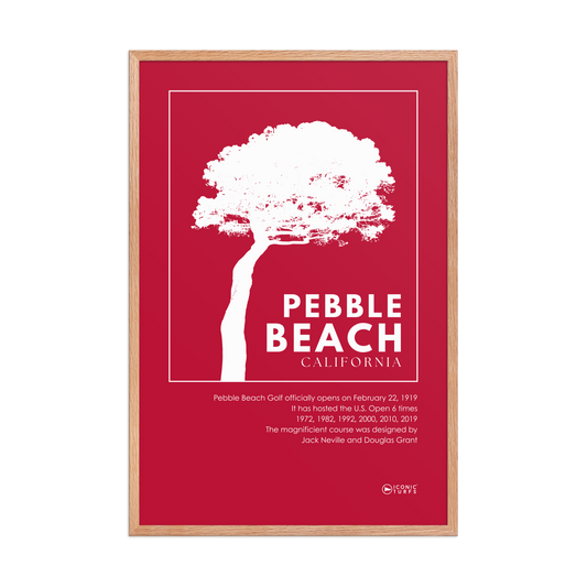 Pebble Beach Pine Tree